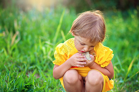 穿黄色裙子的小女孩坐在草地上 轻轻拥抱一只小鸡图片