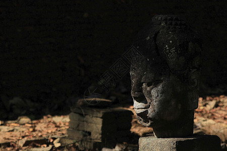 石头上的佛头冥想佛教徒雕塑历史宗教雕像旅行寺庙精神艺术图片