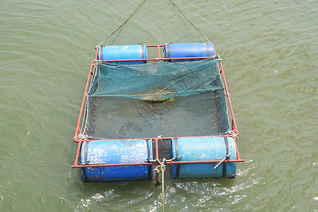 养鱼业贝类海洋食物钓鱼天堂养鱼场风景海浪苗圃生产图片