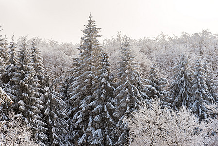 山的冬季风景季节寒冷场地假期暴风雪树木美丽天空木头天气图片