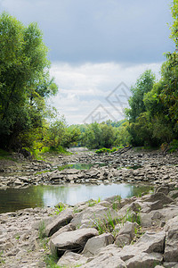 在森林背景下的河水背景下天空晴天旅游环境季节木头石头河流蓝色全景图片