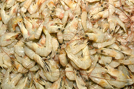 新鲜虾虾红色海鲜灰色农民餐厅橙子摊位美食贝类旅行图片