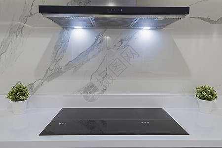 现代厨房烹饪器在豪华公寓内器具电磁炉家具排气扇装饰植物风格金属奢华灰色图片