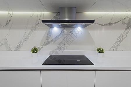 现代厨房烹饪器在豪华公寓内设计装饰植物风格器具抽油烟机灰色金属电磁炉展示图片