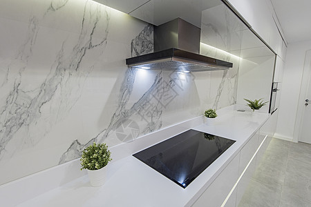 豪华公寓的现代厨房设计图奢华金属烟囱植物展示器具灰色排气扇装饰抽油烟机图片