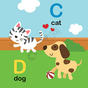 字母表字母 C-猫 D-做图片