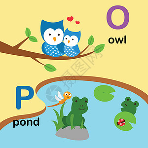 字母表字母 O-owl P-pon图片