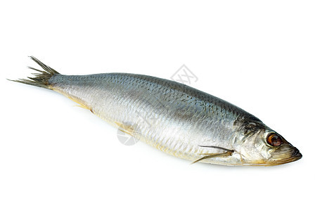 盐海鲜白色妻子盐渍健康食物尾巴皮肤钓鱼背景图片