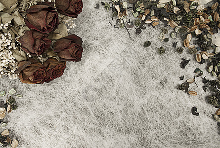 软秋色的浪漫背景 有干玫瑰和p艺术笔记木板花瓣叶子植物卡片材料边缘木头图片
