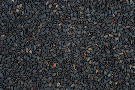黑芝麻种子粮食蓝色植物黑色草本植物农业香料食物芝麻调味品胡麻图片