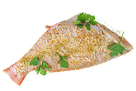 准备就熟的红洞鱼美食香料身体烹饪食物香菜海洋海鲜栖息荒野图片