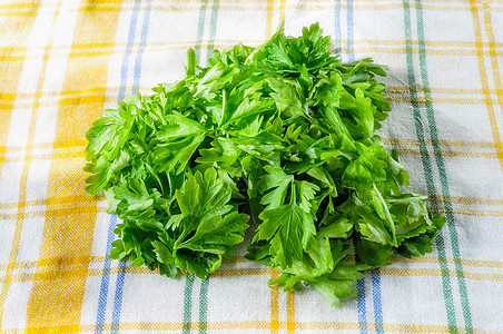 帕斯利休假叶子食物香菜烹饪植物蔬菜宏观草本植物绿色图片