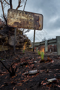Australi森林火灾后燃烧的道路标志 垃圾和景观图片