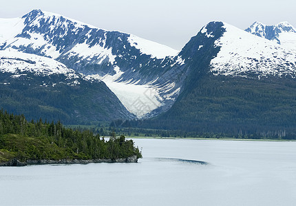 威廉·豪尔德近临学院的沿海山脉 Fjord图片