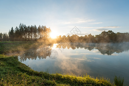 森林湖的早雾森林太阳风景阳光树木爬坡水库日落薄雾橙子图片