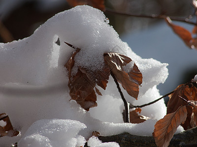 月经季节冰霜天气寒冬背景图片