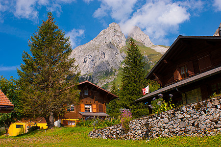 Swis alps 地貌景观步道踪迹旅行风景游记村庄树木山脉山谷图片