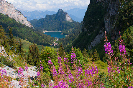 Swis alps 地貌景观踪迹山谷村庄旅行步道山脉游记风景树木图片