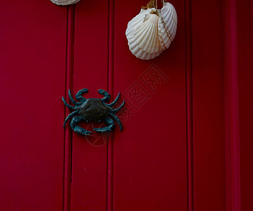烤蟹 红木门 装饰性耳环图片