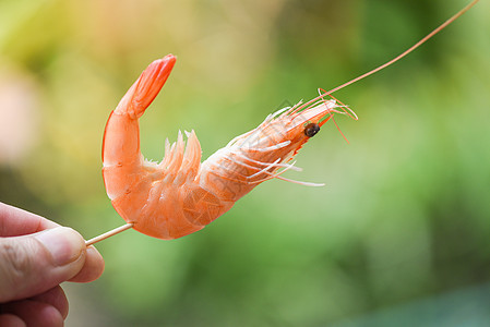 手边和自然背景的虾叉海产食品储藏图片