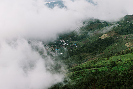 山中美丽的夏日风景与日落的阳光生态公园植物野生动物旅行天空草地杜鹃花彩虹植物群图片