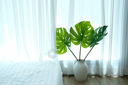 在陶瓷花瓶旁的植物 透过纯玻璃窗看 c热带美味佳肴林木风格生长异国情调叶子盆栽图片