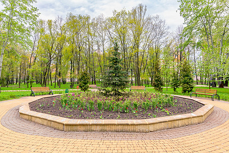 春月公园的花朵植物地标花坛公园生长阳光园艺季节紫色树木图片