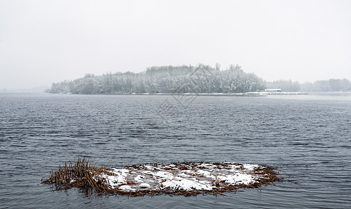 在寒冬寒冷的一天 Dnieper 河景风景冰川树木反射天空季节芦苇香蒲蓝色宽叶图片