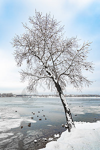 乌克兰基辅Dnieper河附近的一个民斗者 在胜利期间鸭子旅行蓝色荒野游泳反射全景风景季节场景图片