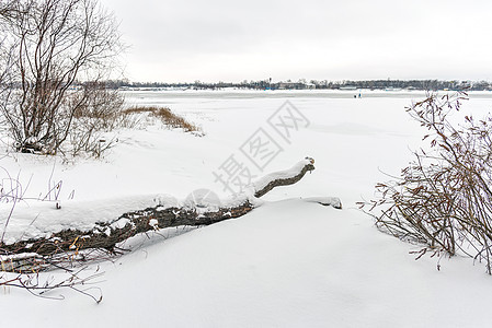 寒冷和雪雪冬季风景天气白色场景灰色季节树干图片