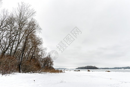 寒冷和雪雪冬季风景白色天气季节灰色场景图片