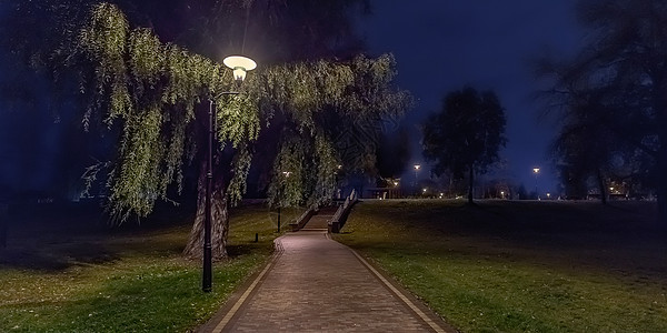 夜间公园的风景图片