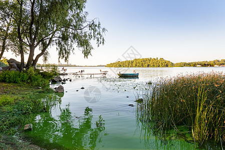 Dnieper河上的渔民香蒲爱好浮桥蓝色运动渔夫淡水芦苇天空娱乐图片