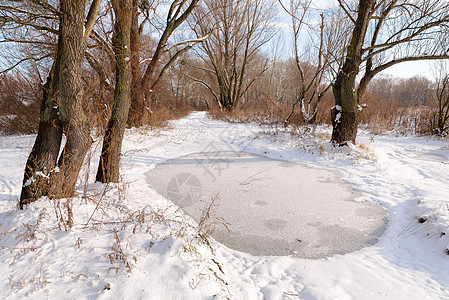 第一次下雪后冰冻的水坑图片