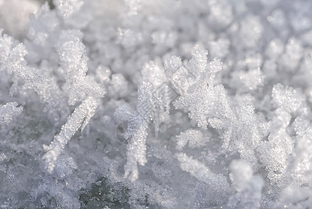 结冰的雪诺细节季节降雪水晶宏观白色雪花雪堆图片