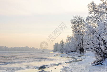 Dnieper河附近冻冻 冰和雪覆盖的树木阳光季节冰雪蓝色日落温度建筑物天气裂缝反射图片