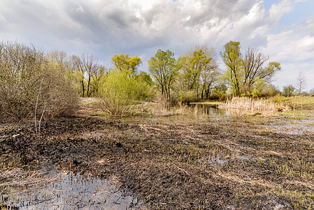湖 火地和树损害危险环境蓝色天空生长破坏草地干草地面图片