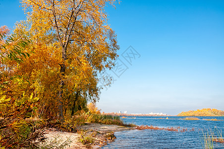 Dnieper河的秋天反射绿色旅行太阳海浪黄色晴天高光公园风景图片