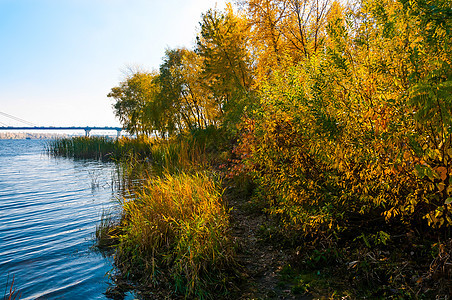 Dnieper河的秋天海浪阳光反射旅行绿色太阳公园晴天高光魔法图片