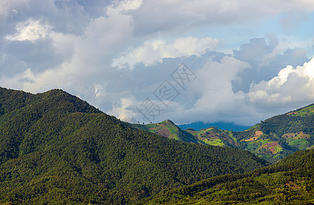 山中美丽的夏日风景与日落的阳光生长场地环境牧场天空太阳蓝色领导者农田晴天图片