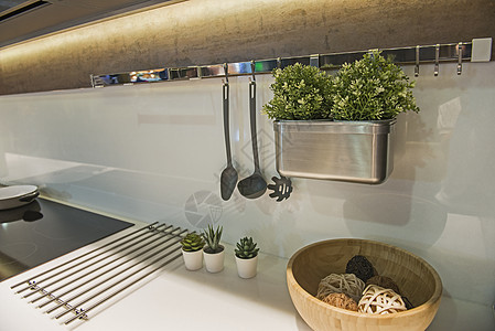 在豪华公寓的现代厨房炉灶白色器具奢华炊具钢包风格餐具平底锅植物图片