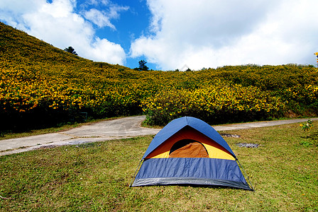 山上树木马龙之间营地的旅游帐篷图片