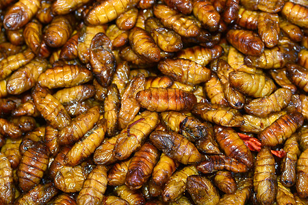 曼谷的炒虫蚁后蝎子市场街道情调异国小吃昆虫漏洞营养图片