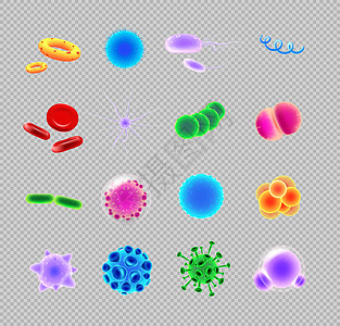 细菌和病毒逼真的矢量图标 se图片