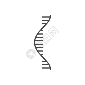 RNA 相关向量细线 ico细绳图标标识基因组医疗遗传遗传学化学品代码科学图片