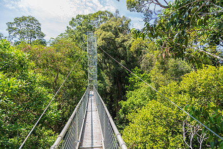 Temburunng乌卢国家公园爬坡道远足蓝色环境丛林风景全景热带脑香天空图片