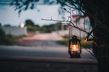 夜里一棵树的古老延后吊挂灯笼煤油古董野营金属蜡烛玻璃燃烧艺术橙子图片