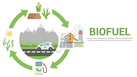 生物燃料生命周期力量车辆木头气体图表转换活力标识环境工厂图片