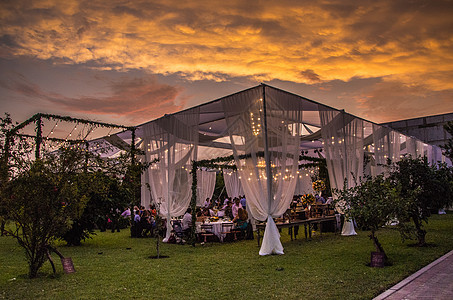 婚礼的装饰绿色白色庆典婚姻宴会帐篷接待仪式餐饮花园图片