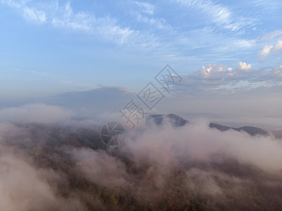 清晨雾雾 呼吸中的山峰 太阳的空中观视森林薄雾阳光植物群国家横梁花朵草地季节针叶木头图片